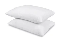 Charter Club Pillows