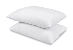 Charter Club Pillows