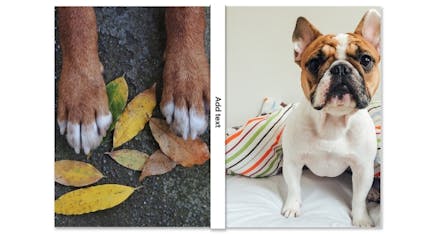 CVS Custom Cover Journal