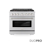 Paramount Gas Range