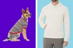 sams-club-members-mark-hoodie-and-pet-sweater