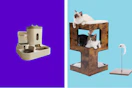 ALI CAT