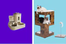 ALI CAT