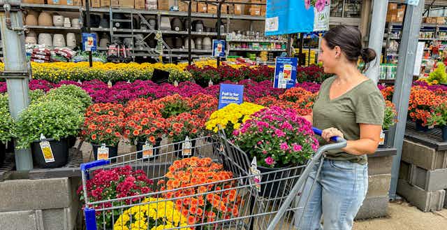 Lowe's Labor Day Sale: Look For These Top Deals in 2024 card image
