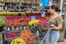 a woman shopping for mums at  Lowe's
