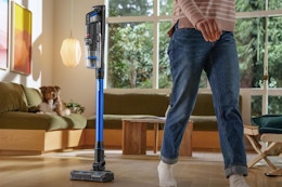 B0DQJV5D9K Bissell FurFinder