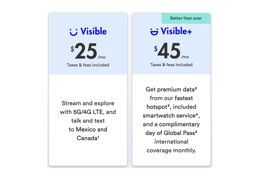 visible-service-3