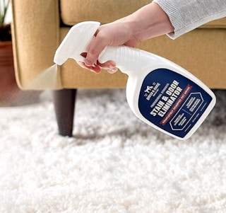 Rocco & Roxie Stain & Odor Eliminator