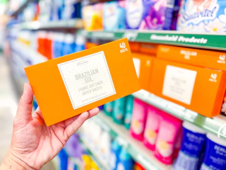 dollar tree brazilian sol dryer sheets