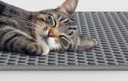 Cat Litter Mat, Now $9.99 for Amazon Pet Day card image