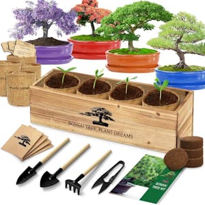 Bonsai Tree Starter Kit