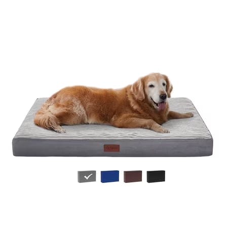 Orthopedic Dog Bed