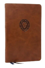 NKJV Thinline Youth Bible