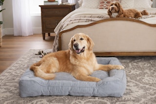 Lowes-Heart-and-Herd-dog-bed