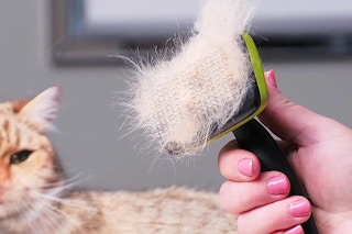 Self-Cleaning Slicker Brush