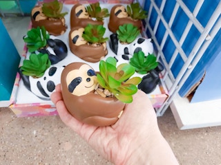 dollar-tree-sloth-planter-with-artificial-succulent