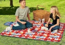 children sitting on the Bluey picnic blanket