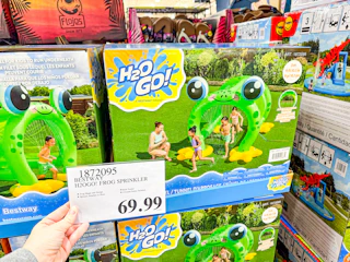 costco-froggy-fun-inflatable-sprinkler-tunnel