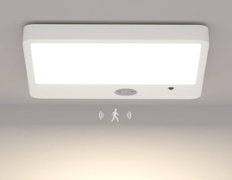 Magnetic Motion Sensor Ceiling Light, Just $13.99 on Amazon card image