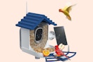 Solar Powered Smart Bird Feeder B0DBQKYBMF
