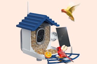 Solar Powered Smart Bird Feeder B0DBQKYBMF