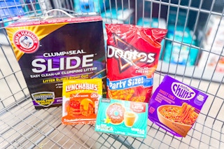 groceries in walmart shopping cart