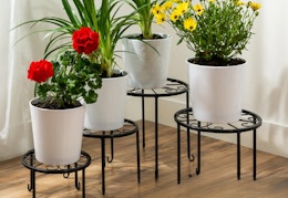bcp plant stands