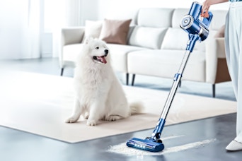 Lifestyle image of the Prettycare Stick Vacuum being used to clean area rug next to a dog
