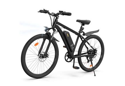 Adult Electric Bike