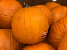 pumpkins walmart