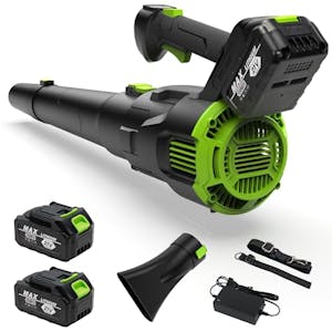 Leaf Blower Cordless