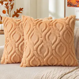 Faux Fur Throw Pillow Covers 2-Pack