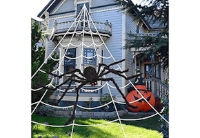 Giant Spider and Web Decoration