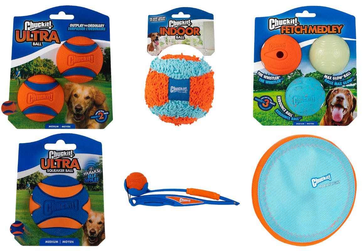 6 Chuckit Dog Toys