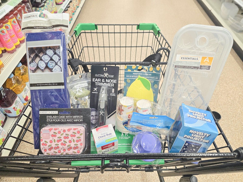 10 items in a dollar tree cart