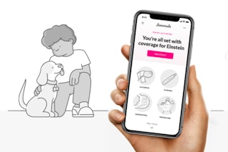 lemonade pet insurance