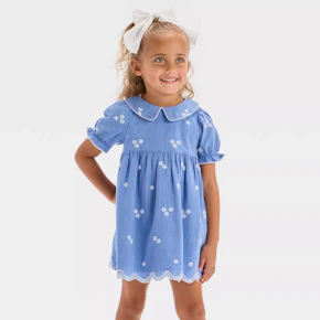 Cat & Jack Toddler Dress