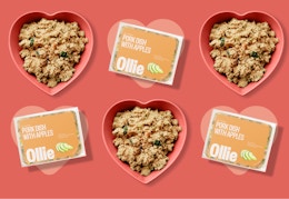 Ollie Valentine's Day Promo