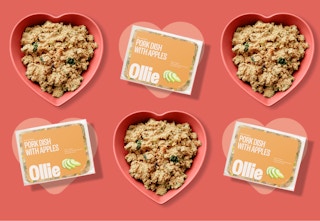 Ollie Valentine's Day Promo