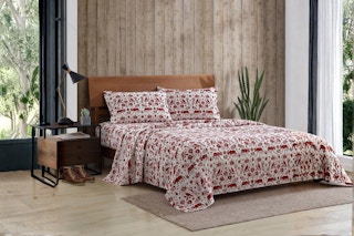 Eddie Bauer Flannel Sheet Set B0CH78D6JJ