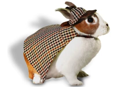 Detective Rabbit Halloween Costume