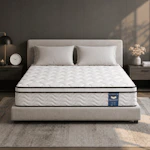 Queen Mattress in a Box