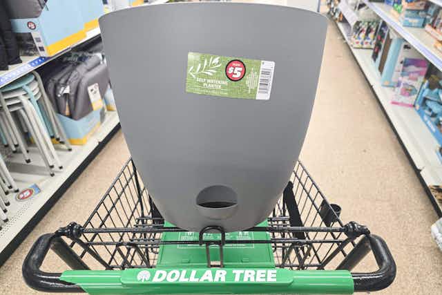 Large Self-Watering Planters, Just $5 at Dollar Tree card image