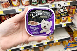 hand holding cesar wet dog food