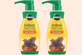 Miracle-Gro Indoor Plant Food 2-Pack