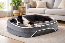 Walmart orthopedic dog bed