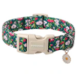 Dog Collar