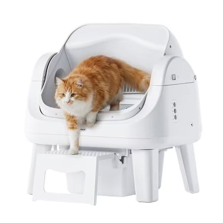 Automatic Cat Litter Box