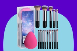 Makeup Brushes and Sponge Set