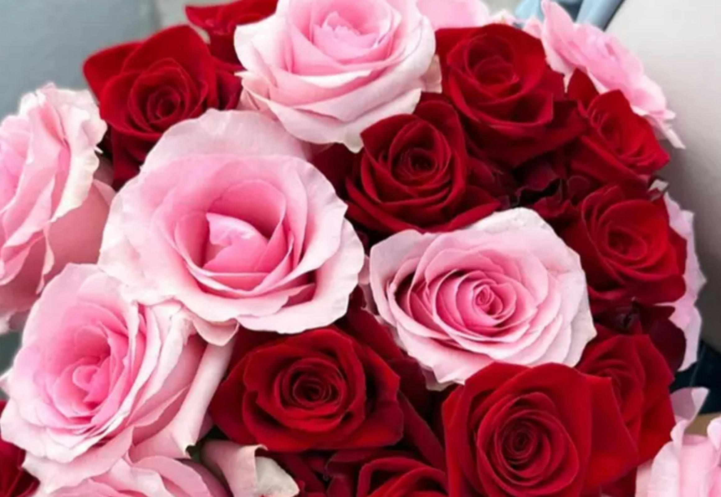 Long-Stem Rose Bouquet